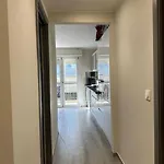 Hippocampe Appartement A 50 M Des Plages